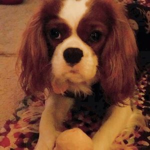 Meet your Posher, Colleen